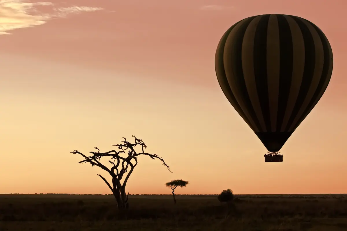Sunrise Hot-Air Balloon Safari