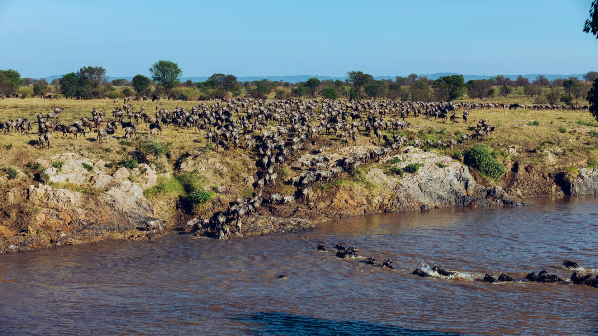5-Day Great Migration Fly-in from Zanzibar