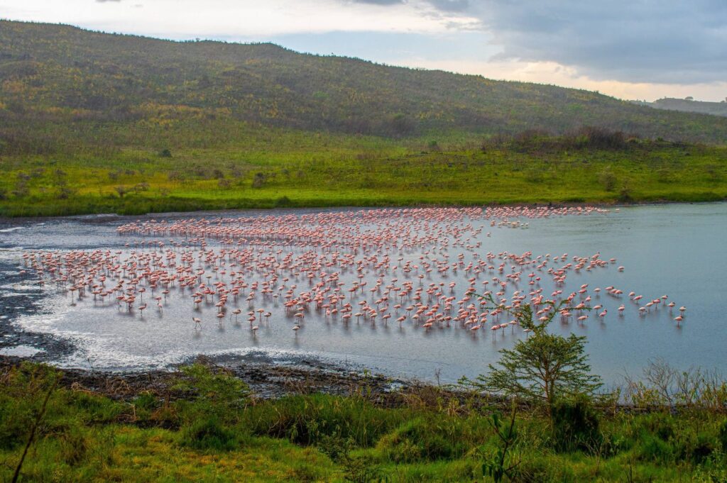 Arusha National Park