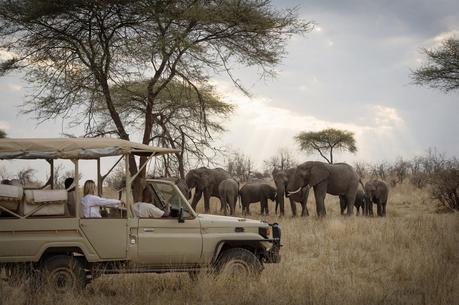 8-Day Tanzania Wildlife Photography Safari