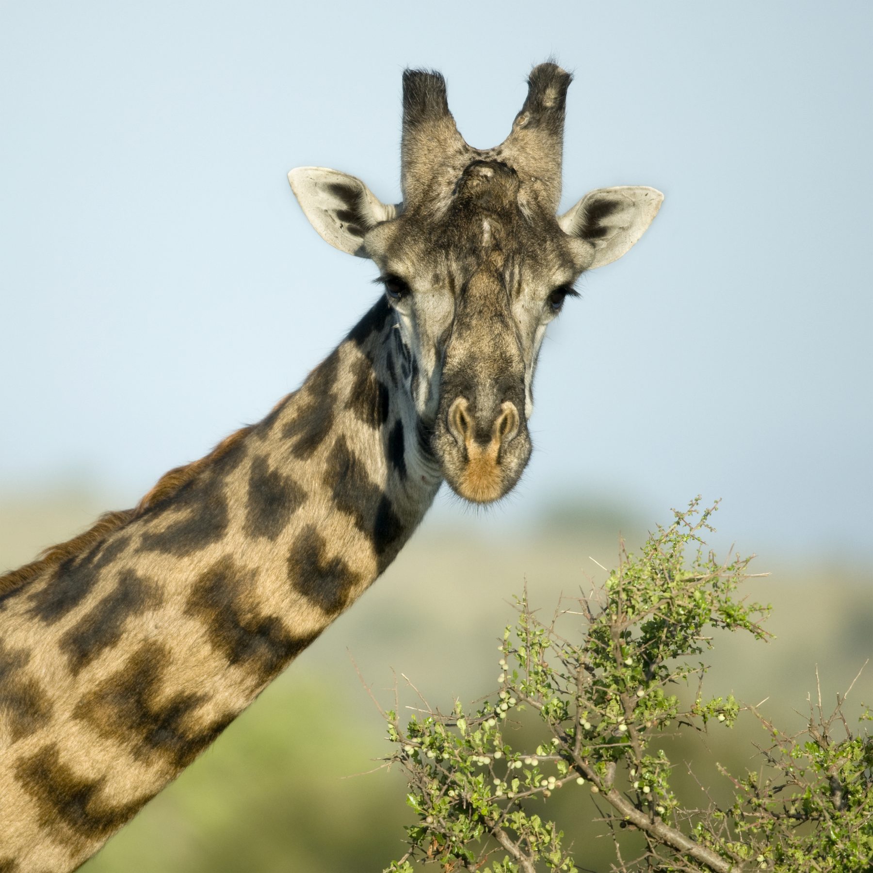 Serengeti National Park