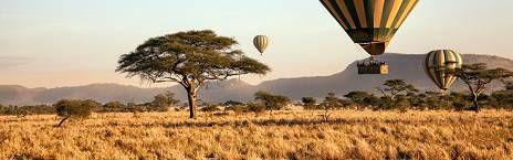 Full Day in Serengeti National Park