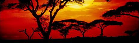 Serengeti National Park