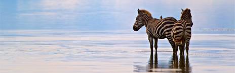 Karatu to Lake Manyara National Park