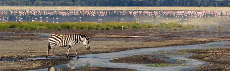 Karatu - Ngorongoro Crater