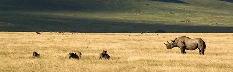 Karatu to Ngorongoro Crater