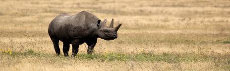 Karatu to Ngorongoro Crater