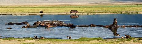 Karatu to Ngorongoro Crater