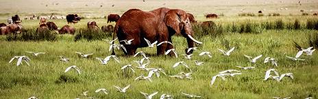 Ngorongoro Crater to Arusha