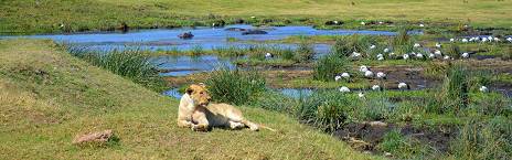 Ngorongoro Crater