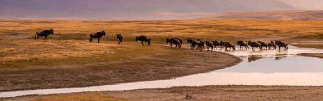 Ngorongoro crater