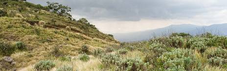 Serengeti to Ngorongoro Conservation Area