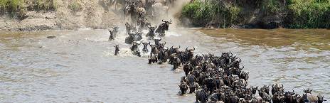 Northern Serengeti National Park