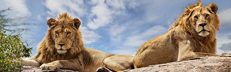 Northern to Central Serengeti