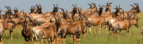 Karatu to Serengeti National Park