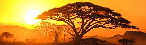 Serengeti National Park