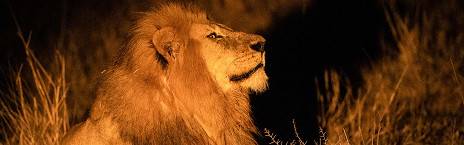 Serengeti National Park