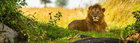 Serengeti National Park