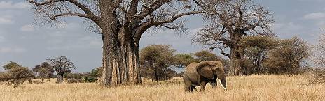 2-Day Adventure Awaits, Explore the Wild in 48 Hours