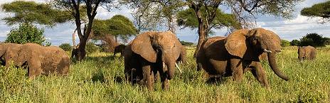 2-Day Adventure Escape to the Heart of Nature