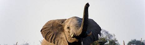 Tarangire National Park