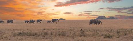 Arusha to Tarangire National Park