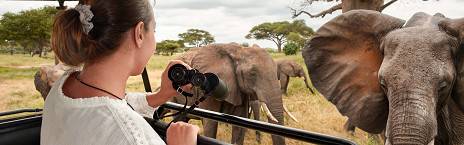 3-Day Safari Discover Tanzania Wildlife Gems