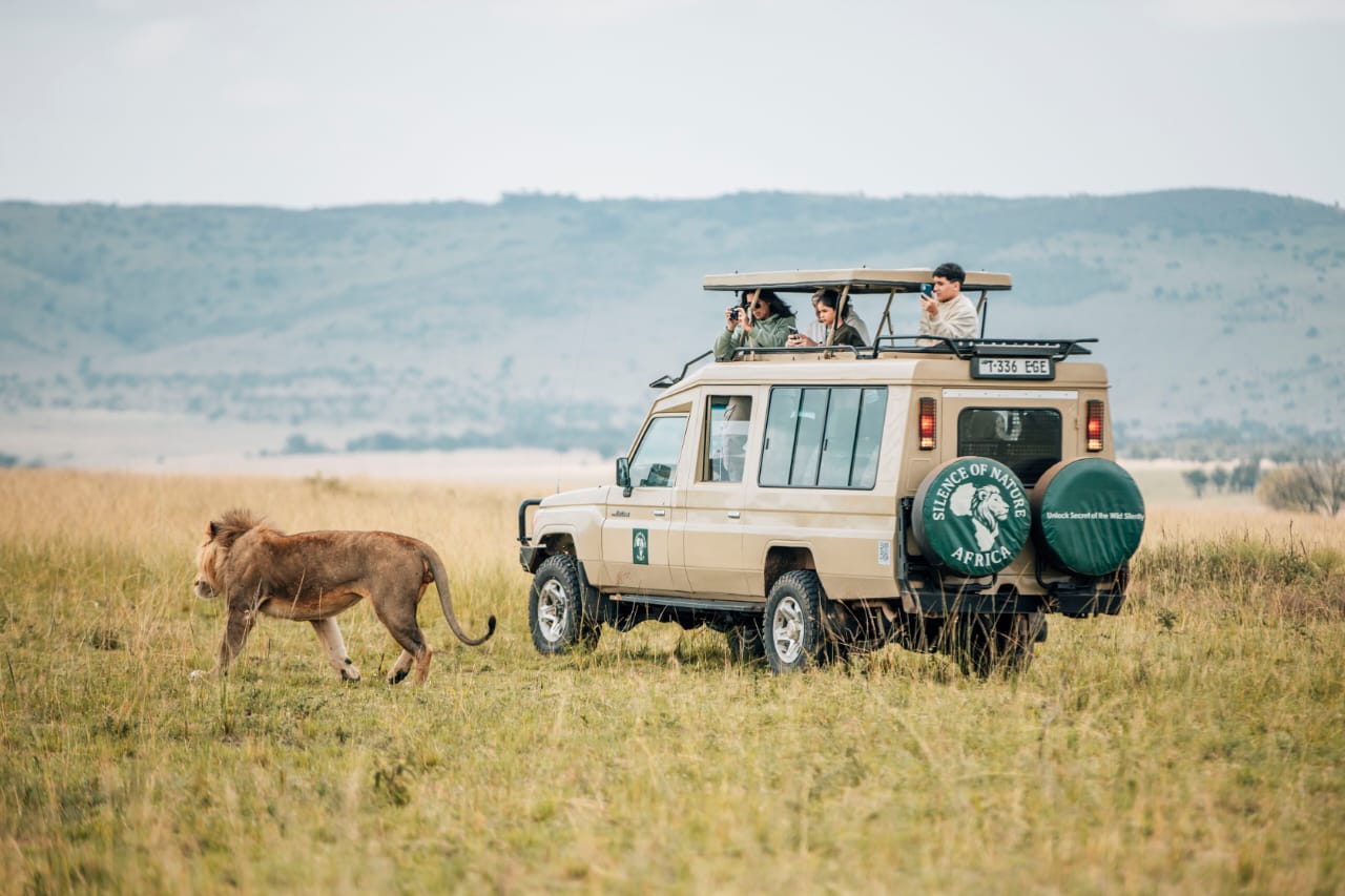 4 Days Serengeti Tanzania Safari