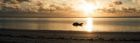 Kiwengwa Island